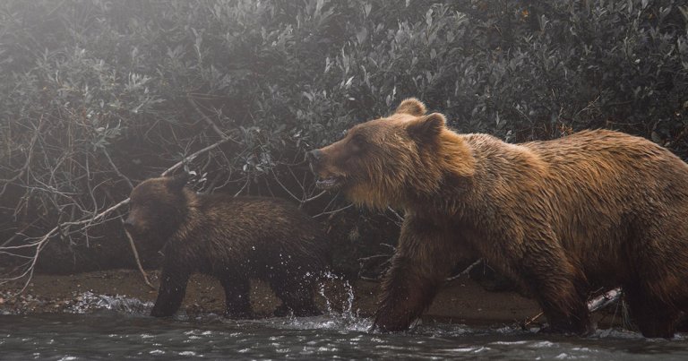 Funds on CME Bitcoin futures market have turned aggressively bearish, data shows