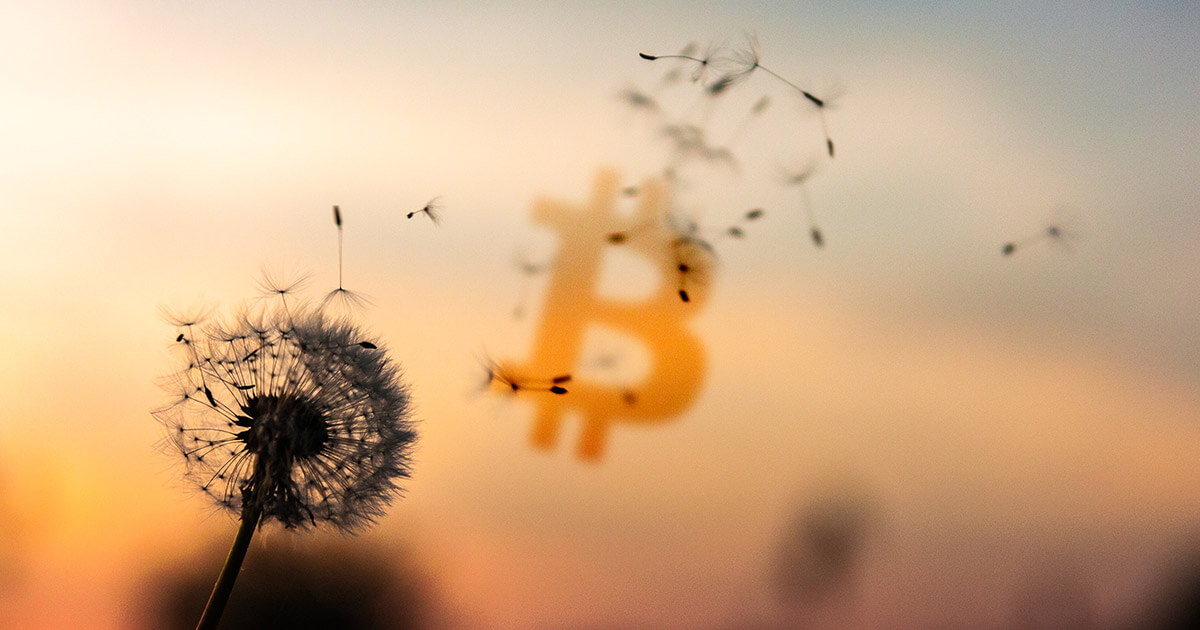 What’s holding Bitcoin back – business or consumers?