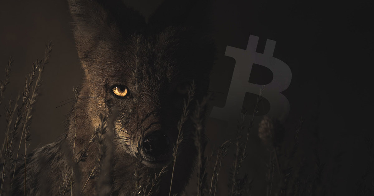 Trading veteran says Bitcoin could be in “big trouble” if it doesn’t rally