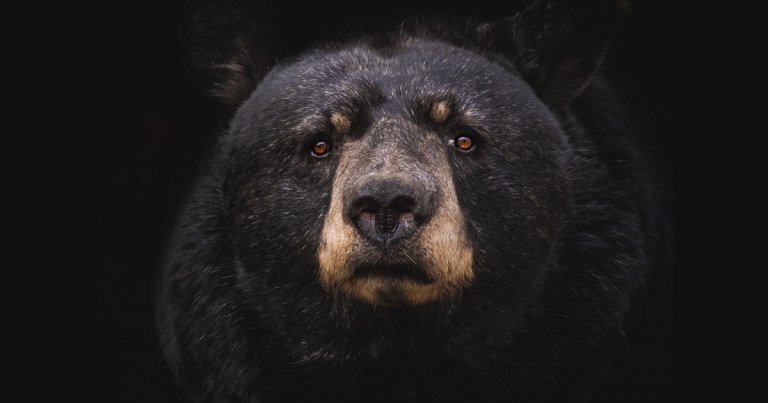 Venture capitalist: We’ve never seen a compelling reason to hold Bitcoin SV