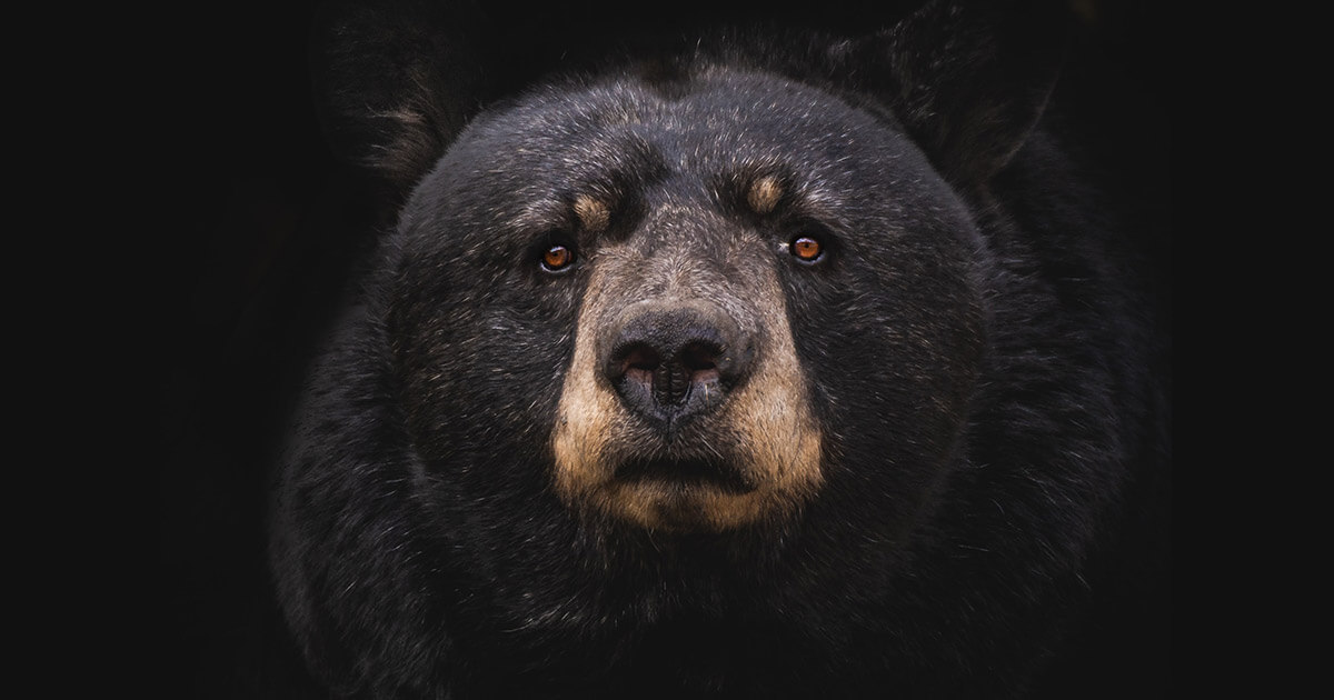 1 million crypto traders see nearly $10 billion in liquidations