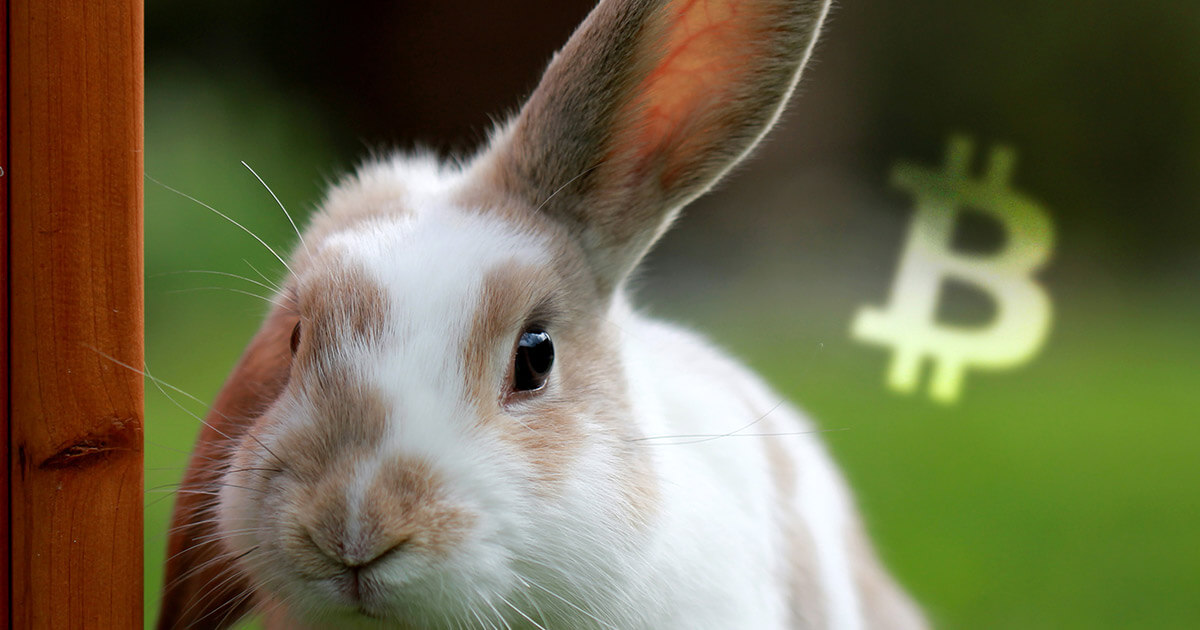 Bitcoin just hopped above $7,000 after 10% correction, convincing analysts of bull case