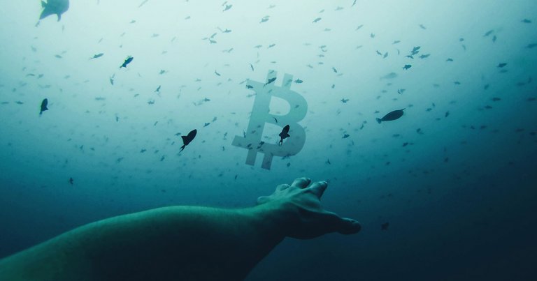 On-chain metrics spell trouble as Bitcoin dips below $9,000