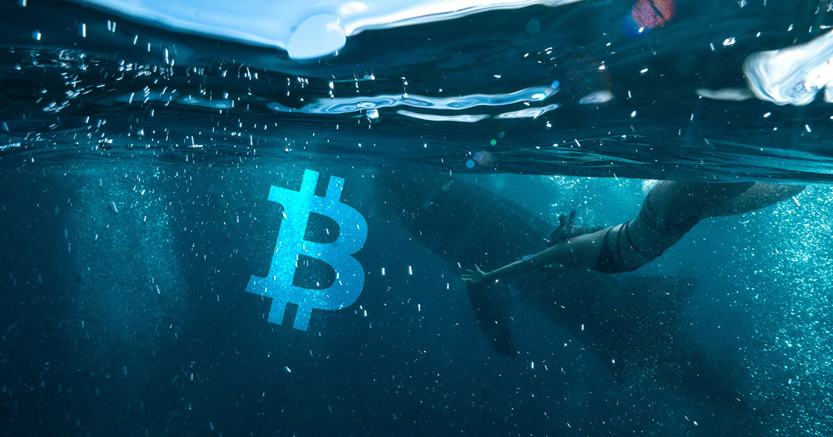 Bitcoin whale accumulation trend on Bitfinex shows $14k or lower isn’t likely