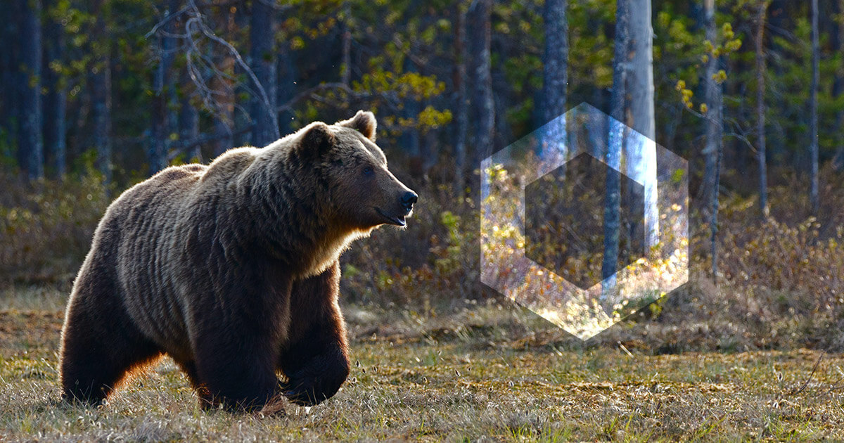 Crypto fund behind Chainlink FUD is offering 5 Bitcoin to post bearish positions