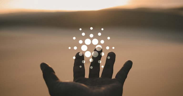 The future of the Cardano Foundation is in the hands of the community