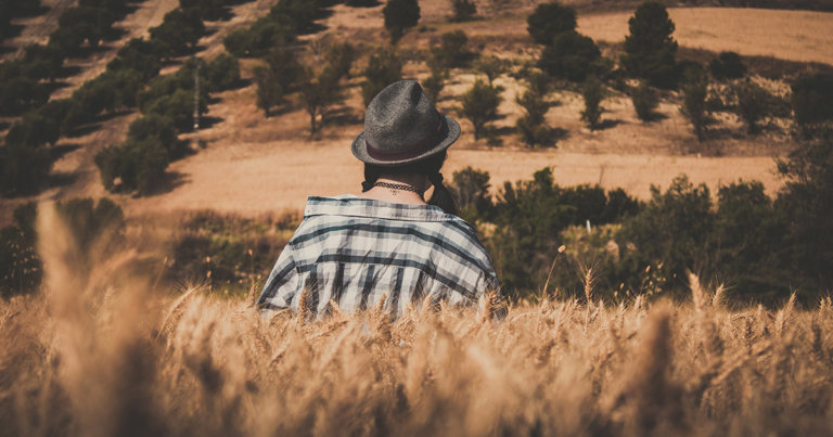 Uniswap volumes bump to $2 billion after attack on DeFi project Harvest Finance