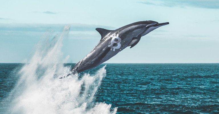 Market data indicates OKEx whales are expecting Bitcoin to spike past $14k
