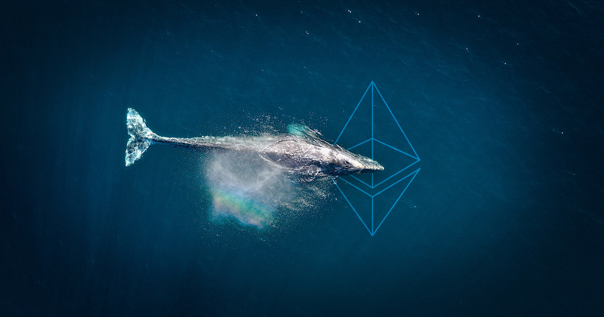 Top Ethereum whales are HODLing at an “impressive rate,” data finds