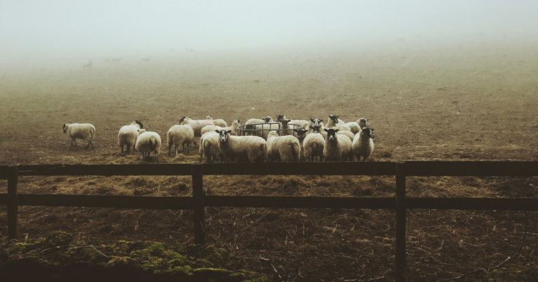 Harvest still has over $300M in deposits after a massive $24M exploit