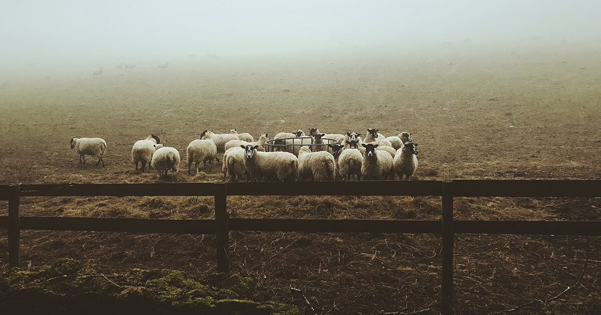 Harvest still has over $300M in deposits after a massive $24M exploit