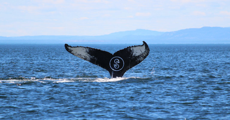 Yearn.finance (YFI) fell to four digits—but are whales accumulating?