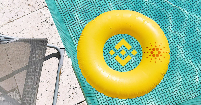 Binance could be behind over a dozen stake pools on the Cardano blockchain
