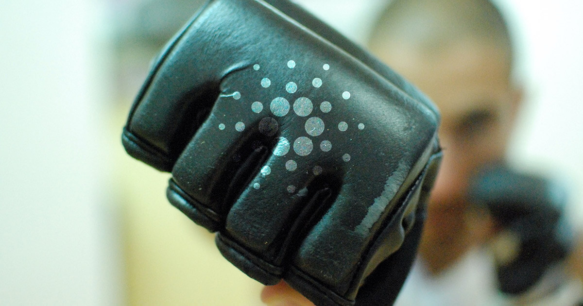 Cardano introduces Smash, a new open-source stake pool metadata aggregation server