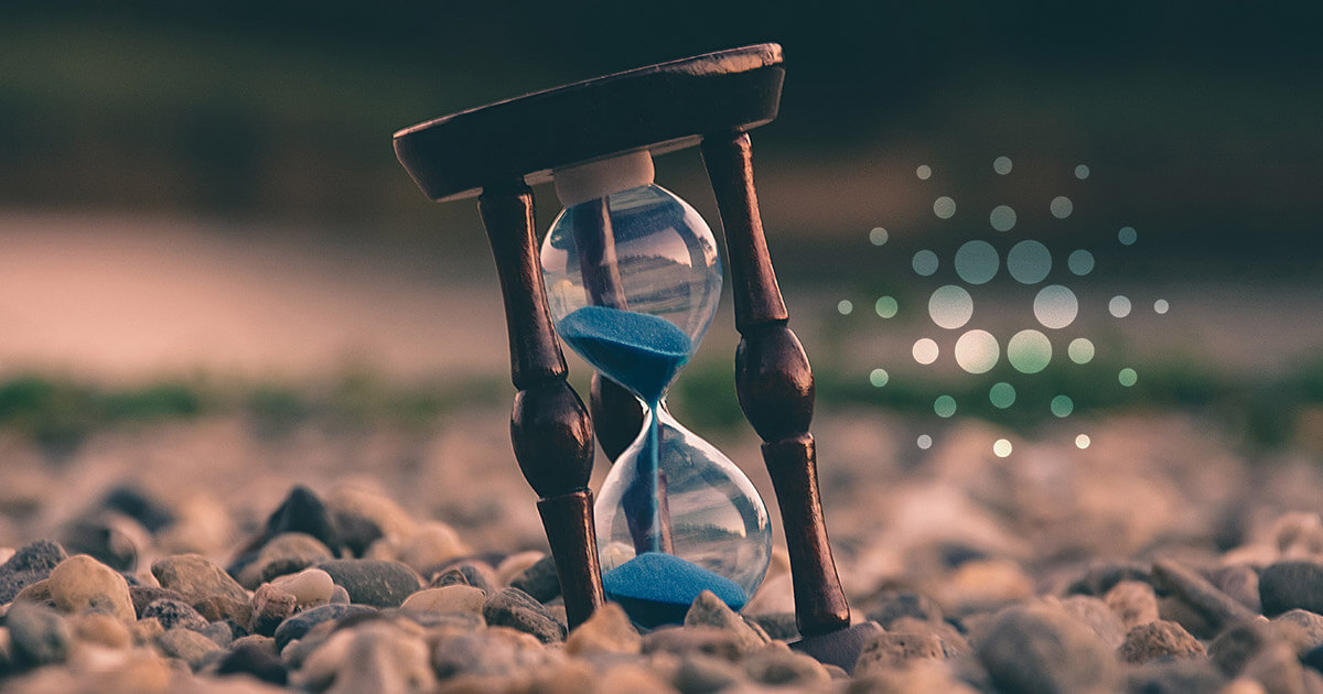 Hoskinson says building a system as complex as Cardano requires a lot of time