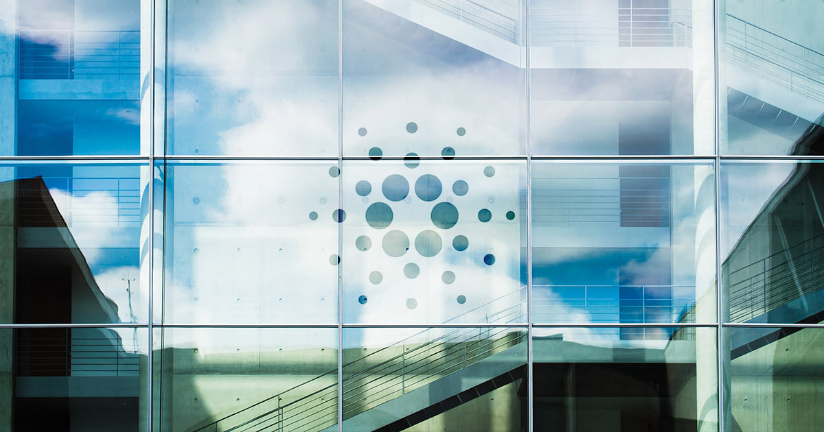 IOHK’s new KEVM devnet opens up Cardano for Ethereum developers