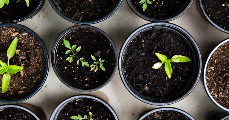 How to make venture capital work for blockchain and crypto startups