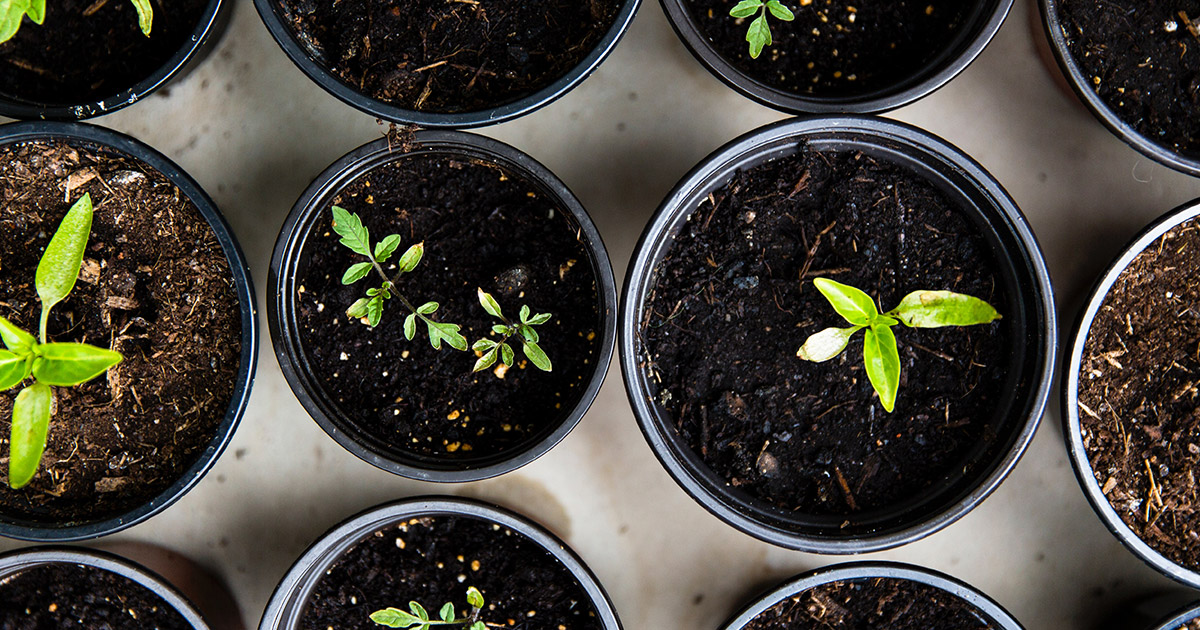 How to make venture capital work for blockchain and crypto startups