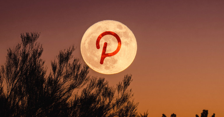 Confused about which Polkadot (DOT) project to invest in? This ‘PINT’ aims to solves that