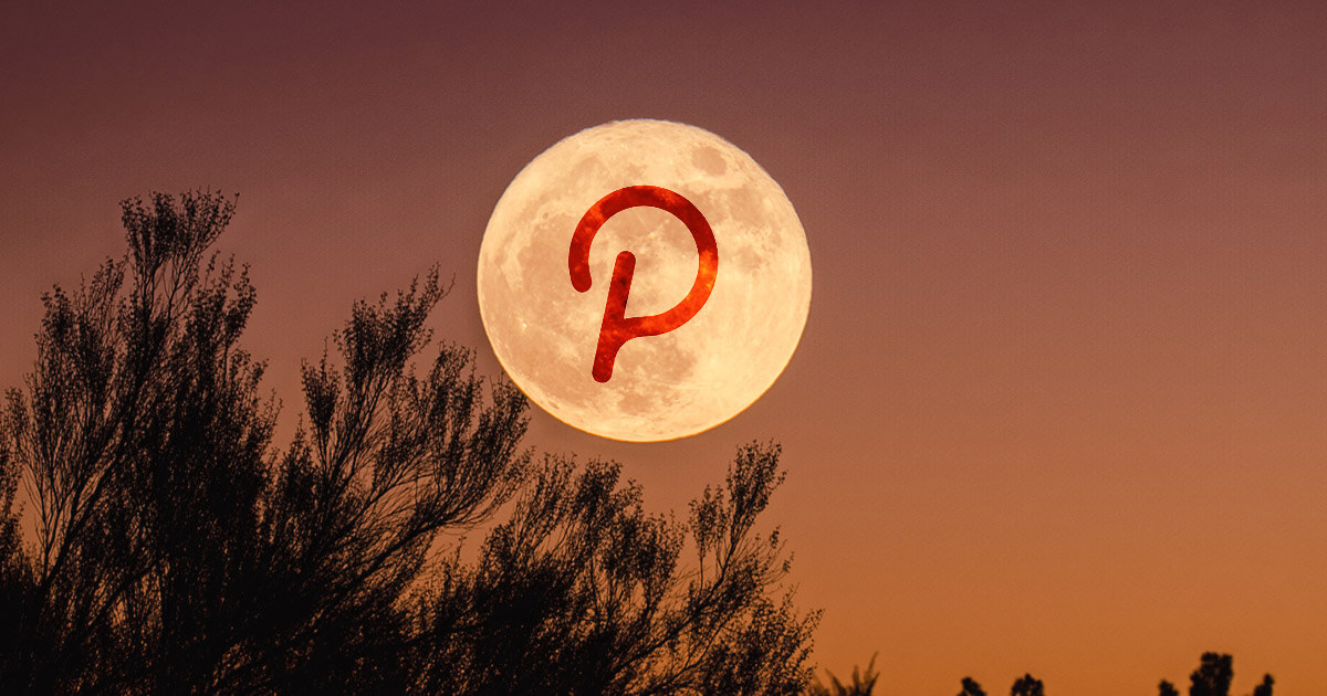 Confused about which Polkadot (DOT) project to invest in? This ‘PINT’ aims to solves that