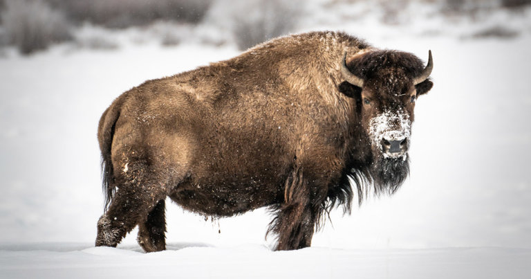 This U.S. state could legally recognize Ethereum DAOs