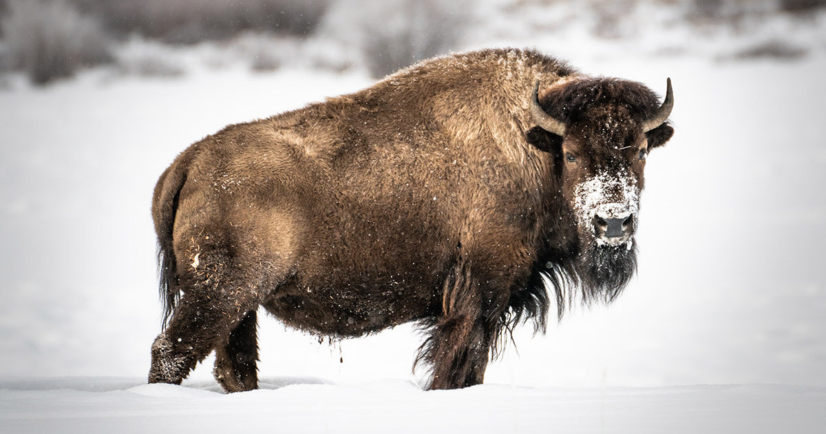 This U.S. state could legally recognize Ethereum DAOs