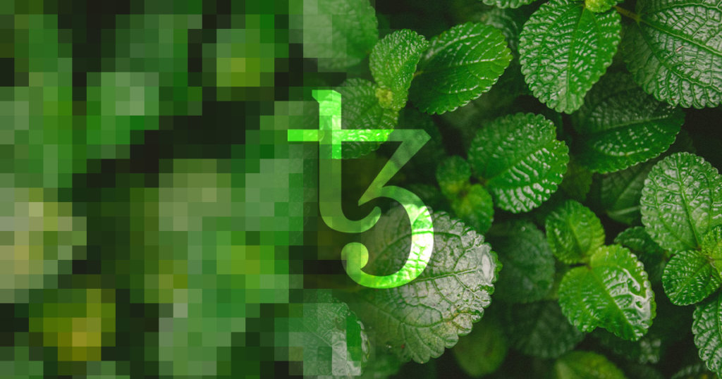 Tezos (XTZ) highly anticipated NFT platform, Kalamint, launches