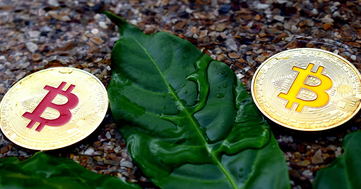 Currency.com says 20% of users expect Bitcoin above $100k by 2022