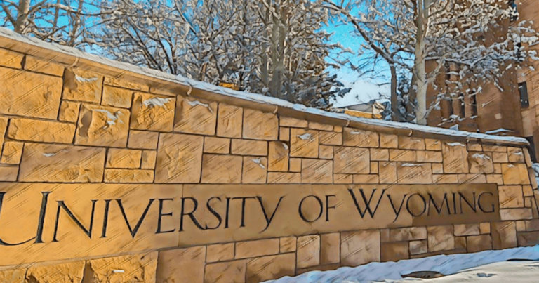 American university appropriates $4 million for staking 3 cryptocurrencies