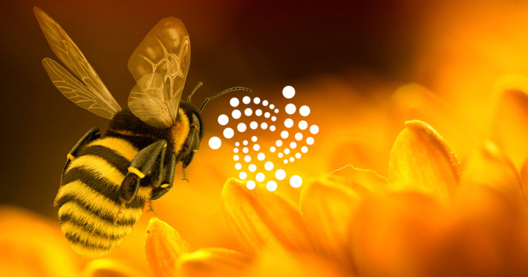 IOTA 2.0 ‘Nectar’ goes live, here’s how the network will improve