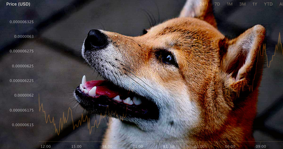 Crypto.com report shows Shiba Inu (SHIB), Dogecoin (DOGE) users led altcoin surge in 2021