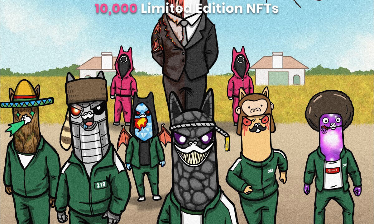 Alpaca Finance raises $3.6 million in public sale of first half of new NFT collection Alpies