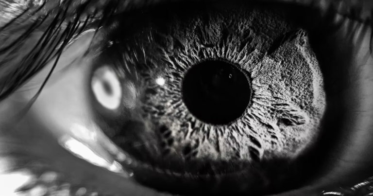 Worldcoin wants to scan your eyeballs. But its founder says that’s the ‘future of privacy’