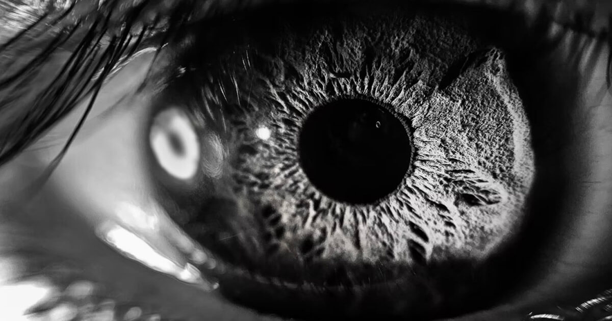 Worldcoin wants to scan your eyeballs. But its founder says that’s the ‘future of privacy’