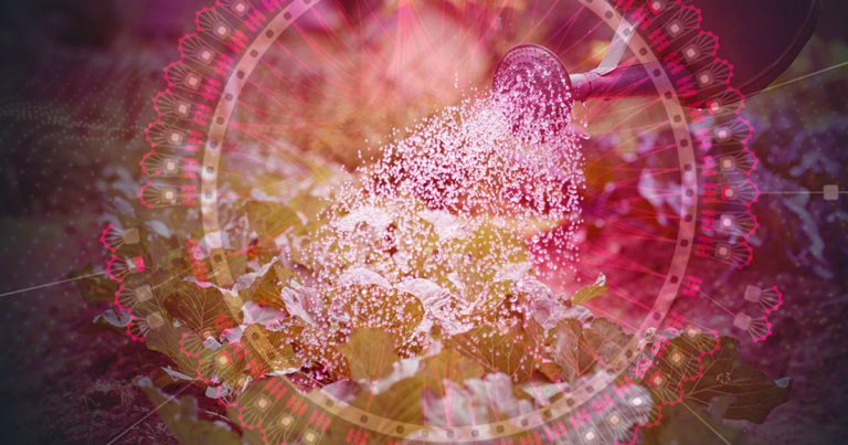 Liquidity solutions for the Polkadot ecosystem