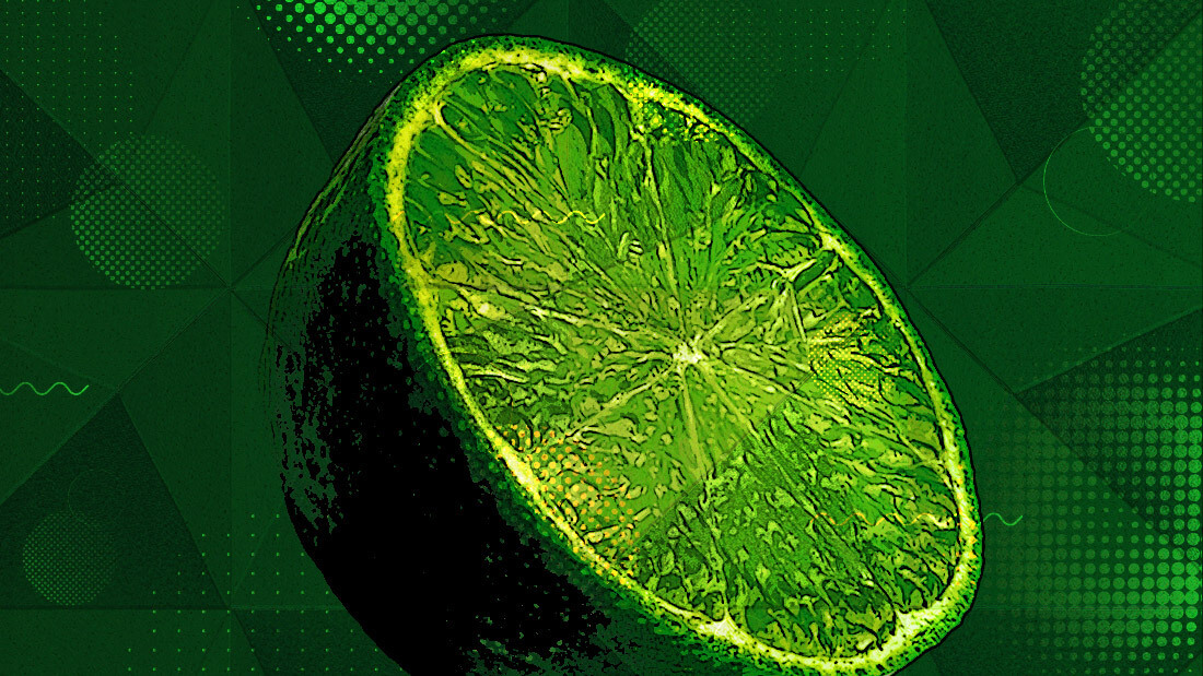 Limewire has raised over $16M for its blockchain-focused revival