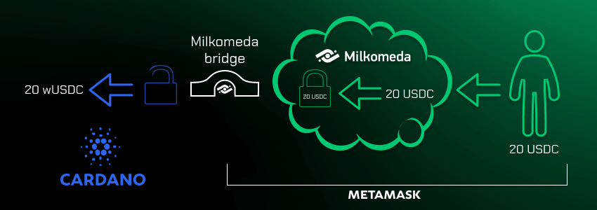 wrapped stablecoins on cardano