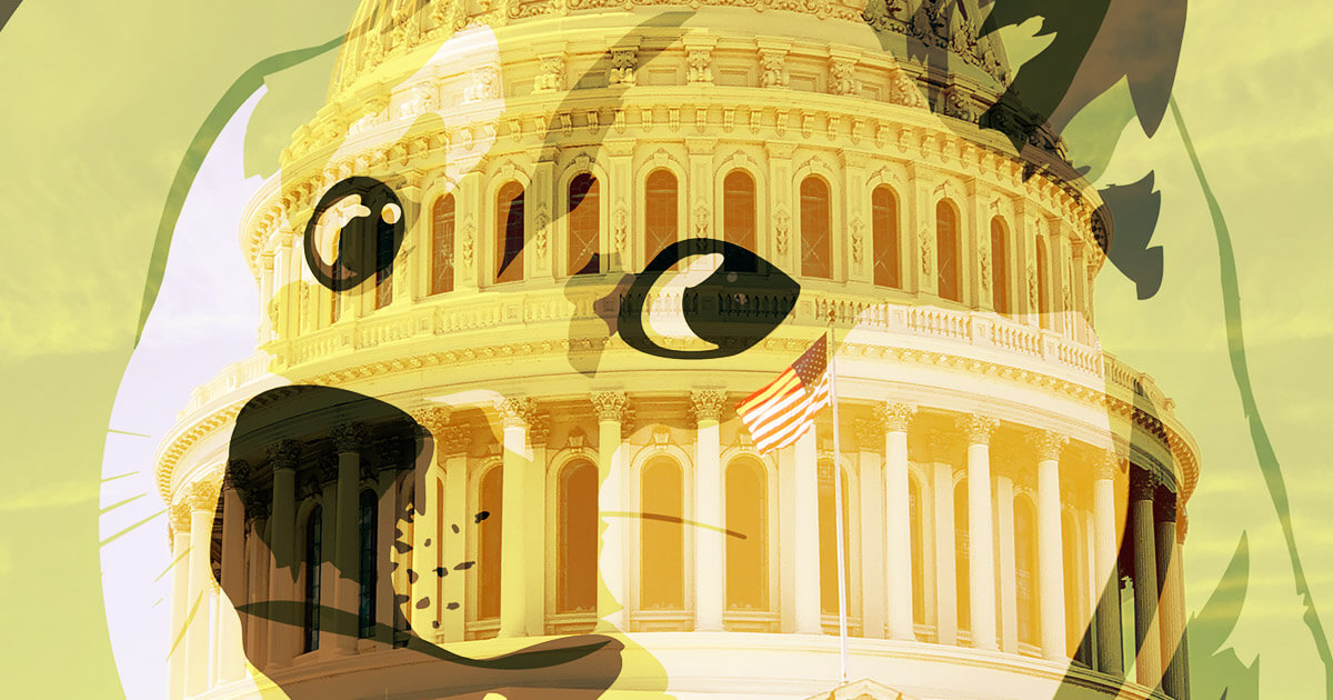 This U.S. Senate candidate wants to make Dogecoin legal tender in California