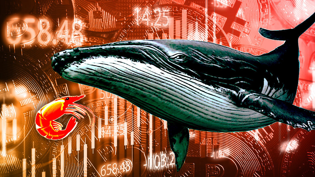 Research: Shrimps vs. Whales — Small holders accumulate Bitcoin as whales dump