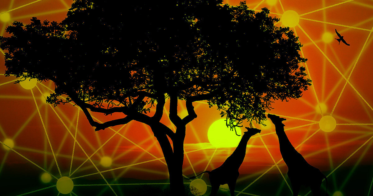 African blockchain investments surpass 2021’s total of $127M