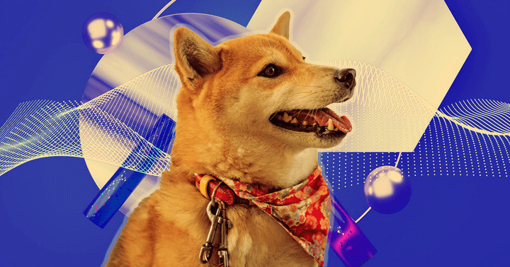 Dogecoin team warns Dogechain is ‘another knockoff token’