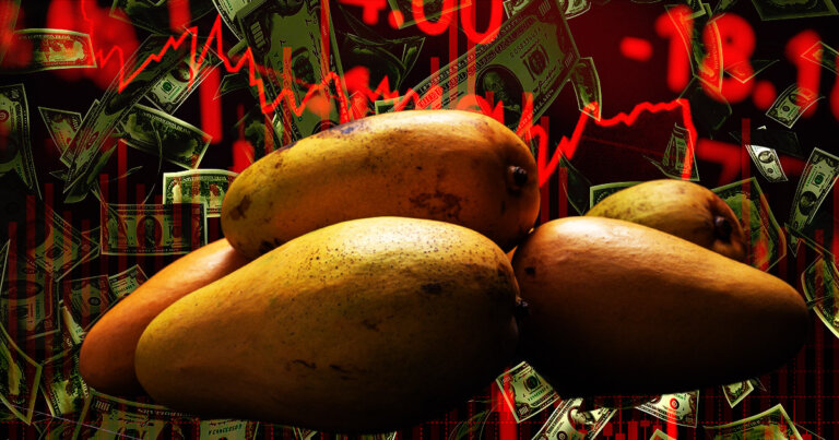 Mango Markets hacker rugpulls Mango Inu after warning investors would “definitely lose all your money”
