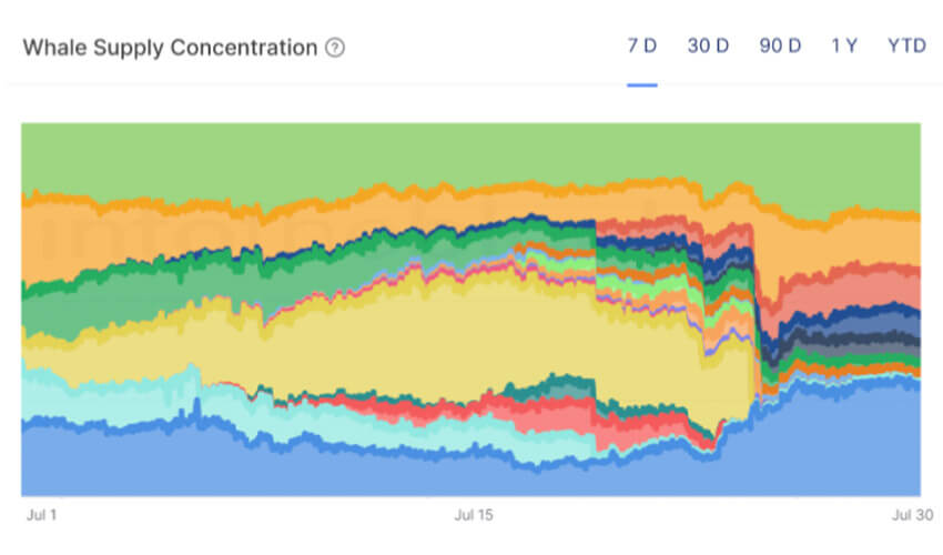 Whale Supply Concentration