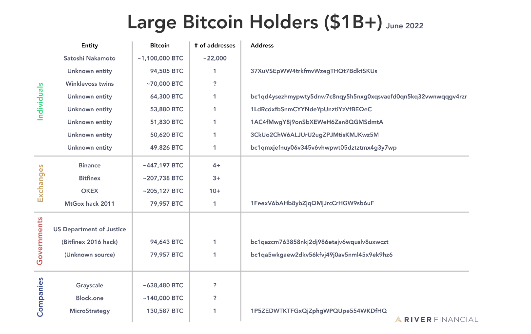 Large Bitcoin Holders