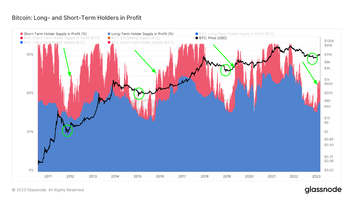 Long & Short term holders in profit: (Source: Glassnode)