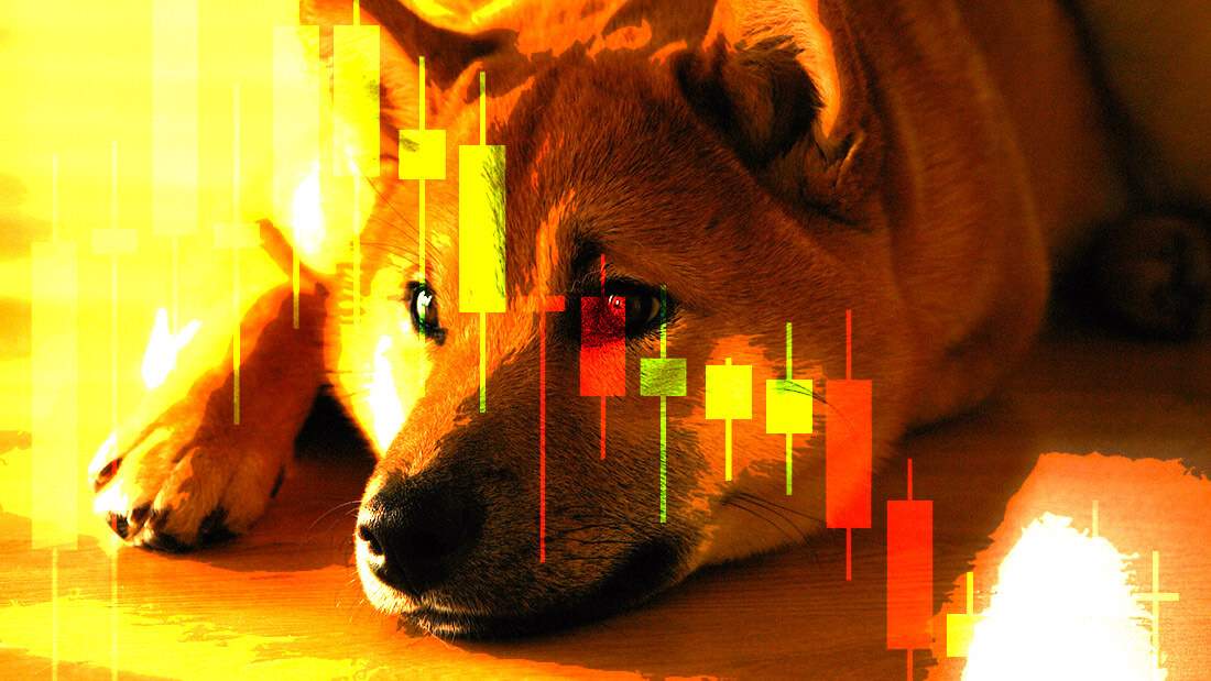 Shiba Inu community clash over allegations of foul play by developers