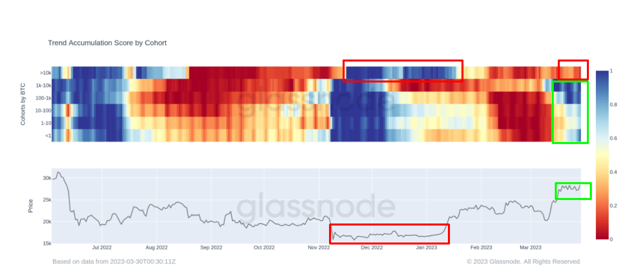 Accumulation Trend Score by Cohort: (Source: Glassnode)