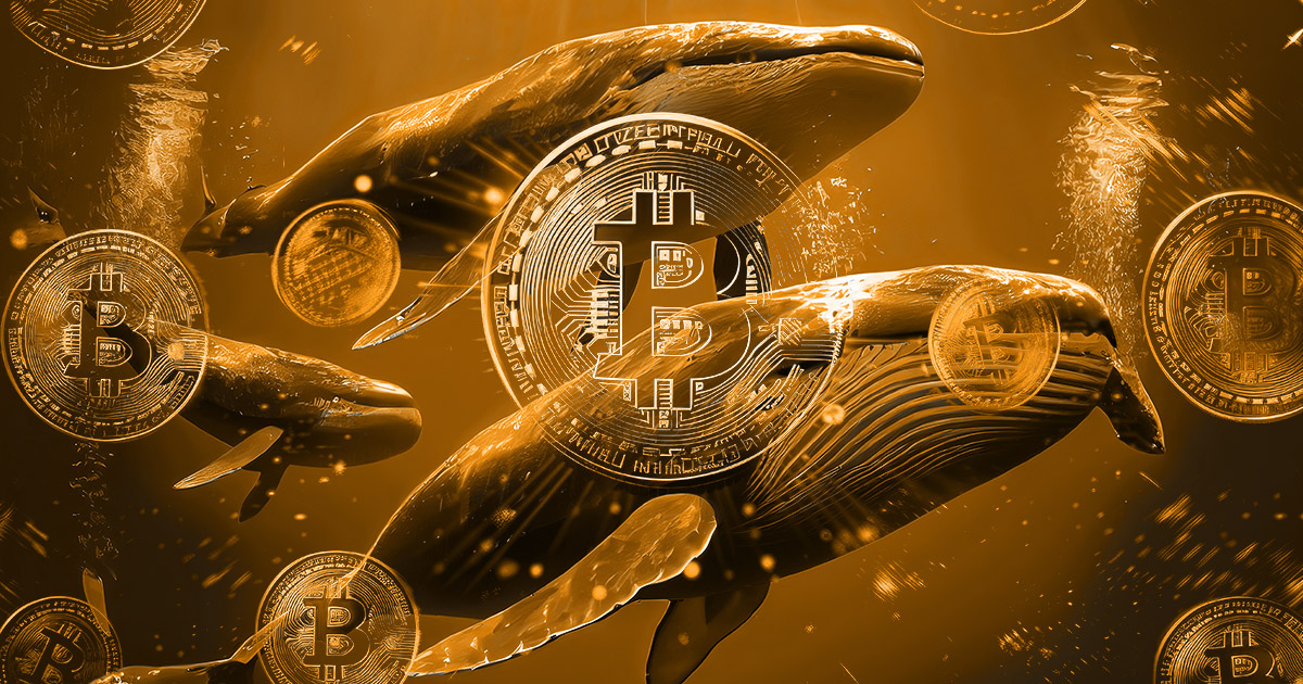 Bitcoin whales accumulate over 20k BTC in just two days