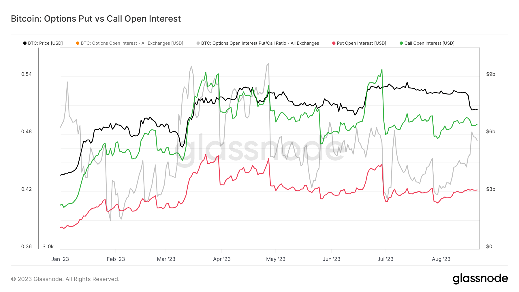 open interest options puts vs calls ytd