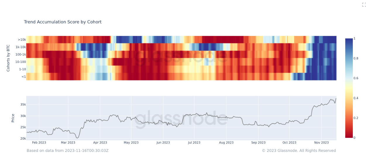 Accumulation Trend Score: (Source: Glassnode)